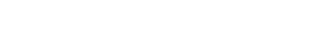 Shopify Partners